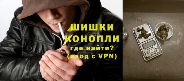 стафф Елизово