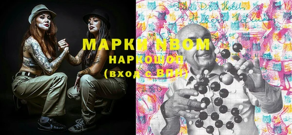 ECSTASY Ельня
