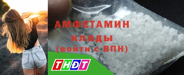 амф Елабуга
