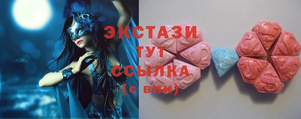 ECSTASY Ельня