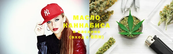 ECSTASY Ельня