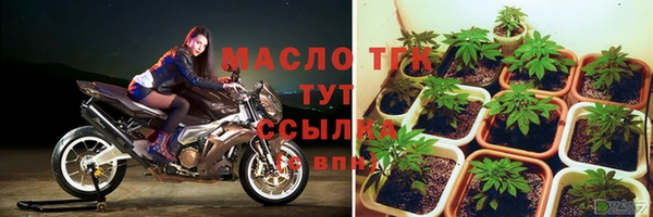 стафф Елизово