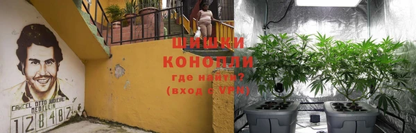 ECSTASY Ельня