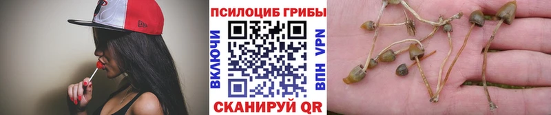 Псилоцибиновые грибы ЛСД  Волгодонск 